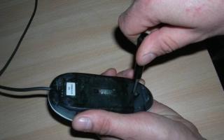 Cum să curățați un mouse de pe computer?